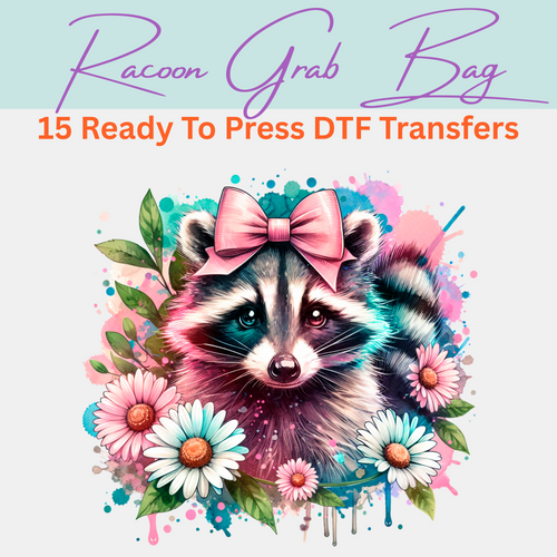 Raccoon Grab Bag - 15 Ready to Press DTF Transfers