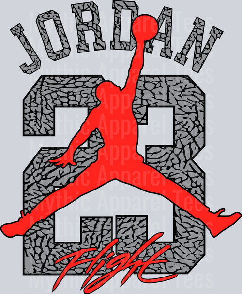FLIGHT 23 Jordans Michael Jordan Chicago Bulls Jordans Nike DTF Michael Jordan Transfers
