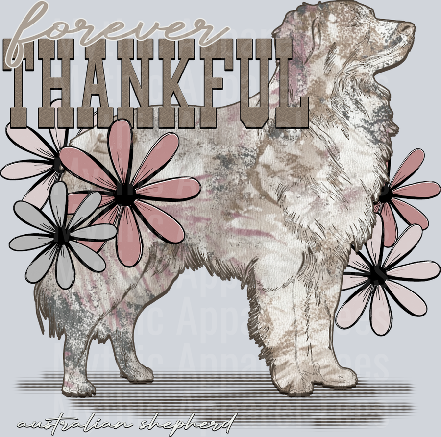 foreverthankfulaustralianshepherd