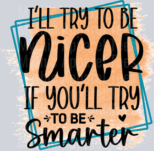 I'll try to be nicer if you try to be smarter DTF Sarcastic Sassy Transfers