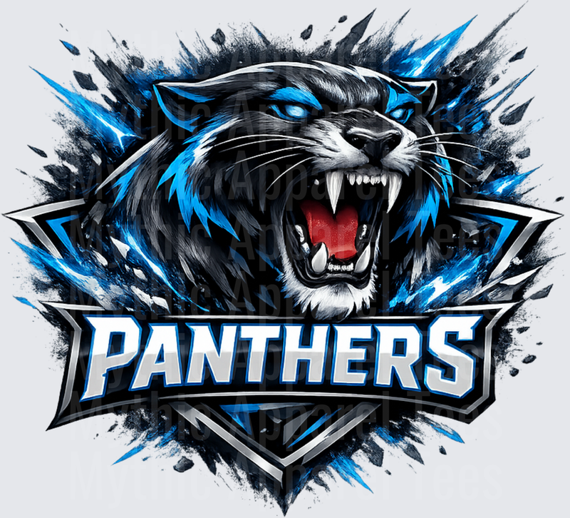 NFL Panthers Roaring Black Panther Blue Explosion Shield Logo