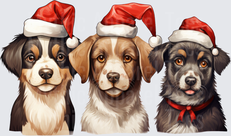 Three Adorable Dogs Wearing Santa Hats Christmas Holiday Trio Portrait