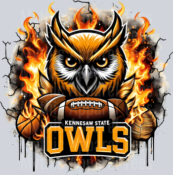 College Football Team Transfers