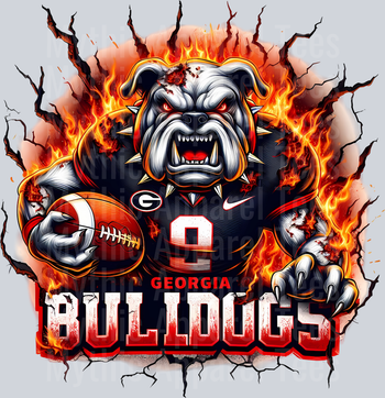 College Football Team Transfers