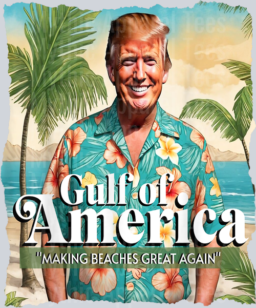 Funny Trump Graphic Gulf Of Us America Trump Merchandise DTF Gulf Of America Transfers
