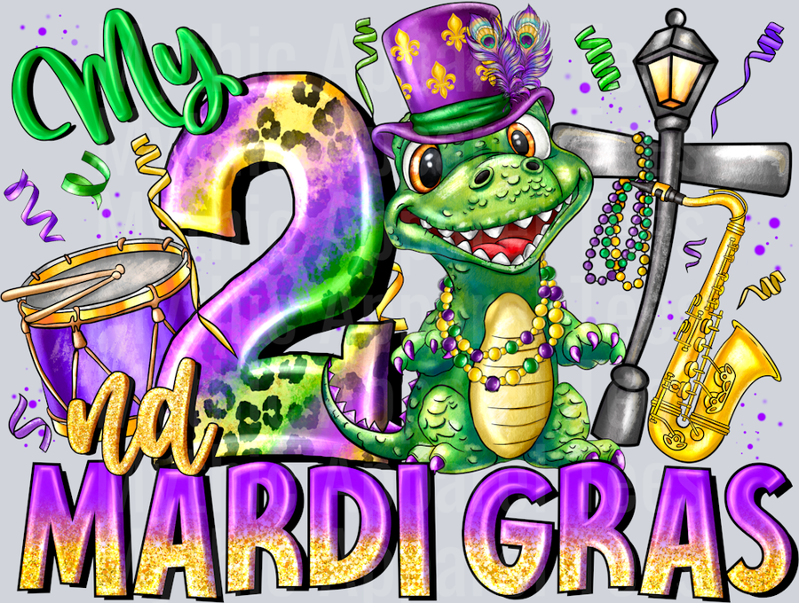 My 2nd Mardi Gras