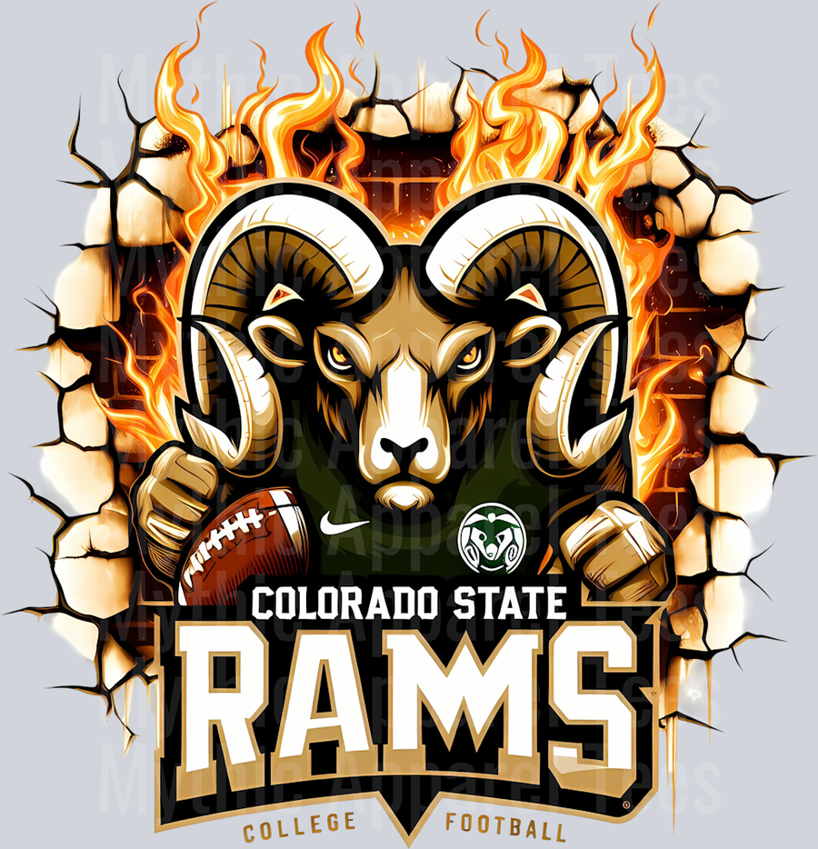 College Football Team Transfers