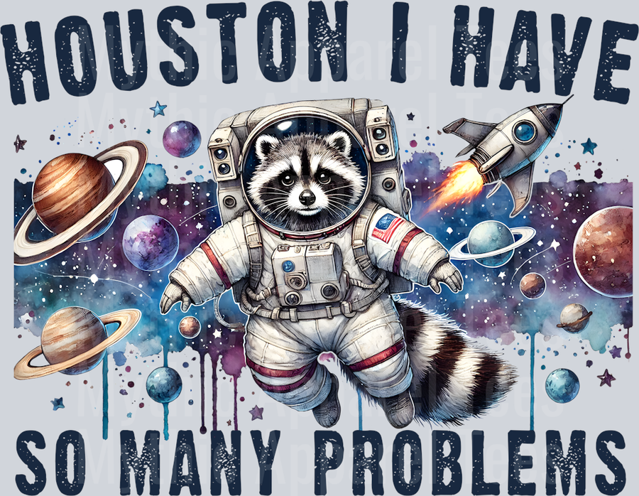 Houston i have