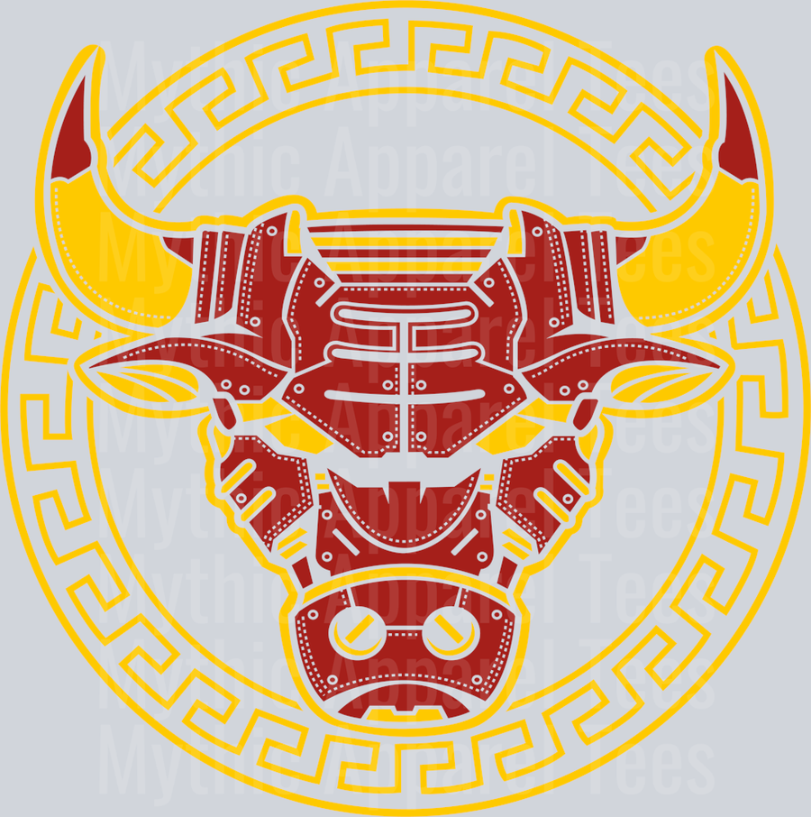 Chicago Bulls Aztek Michael Jordan Chicago Bulls Jordans Nike DTF Michael Jordan Transfers