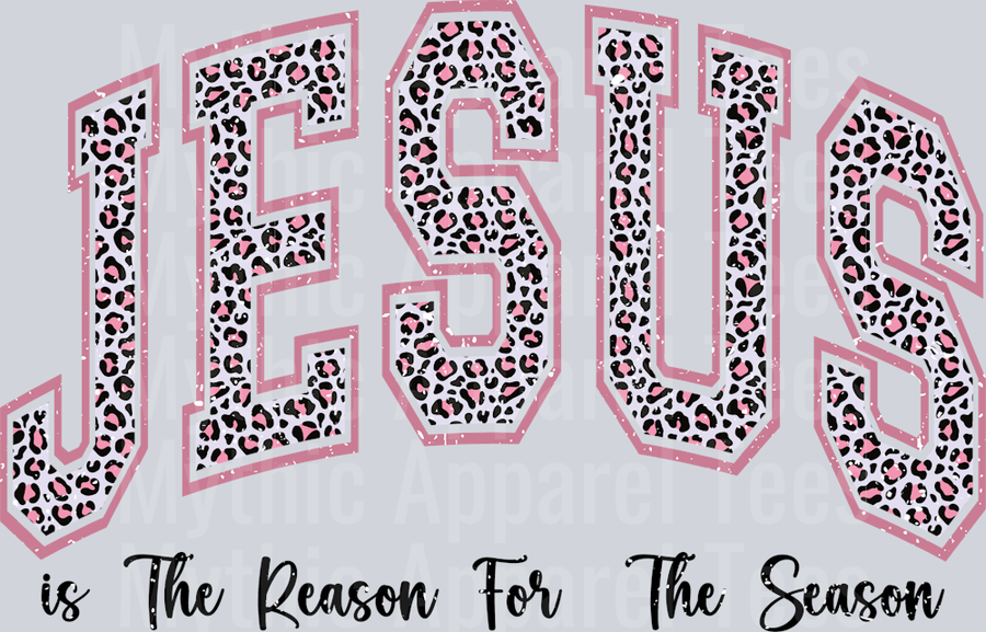 JESUS IS THE REASON FOR THE SEASON DISTRESSED