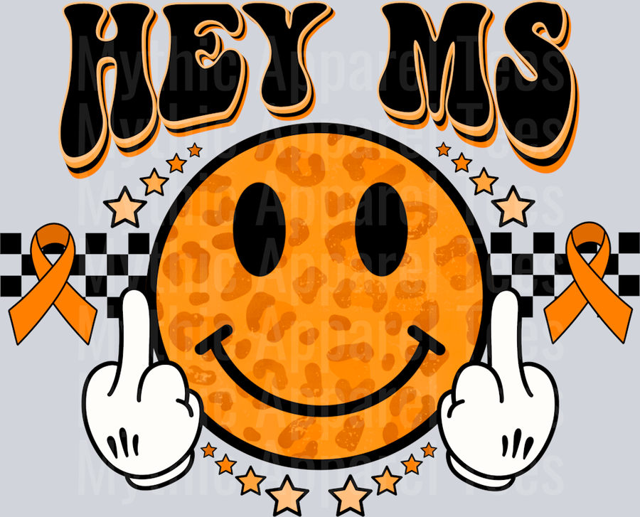 Hey_MS_Fu 2