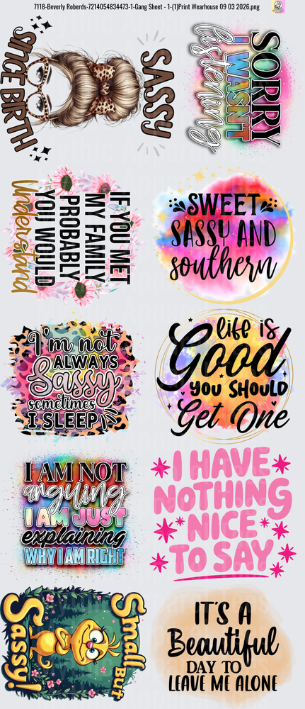 Gang Sheet FULL SIZE DESIGNS Sassy Southern Quotes and Messy Bun Girl Collection