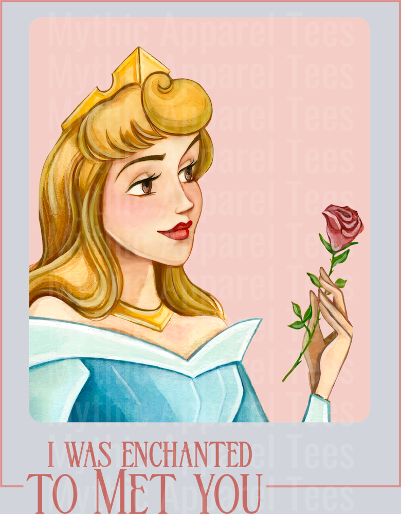 I was Enchanted To Meet You Cinderella Disney Princess Taylor Swift Lyrics