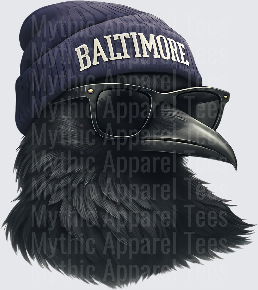 NFL Mascots Baltimore Ravens Cool Raven Beanie Sunglasses