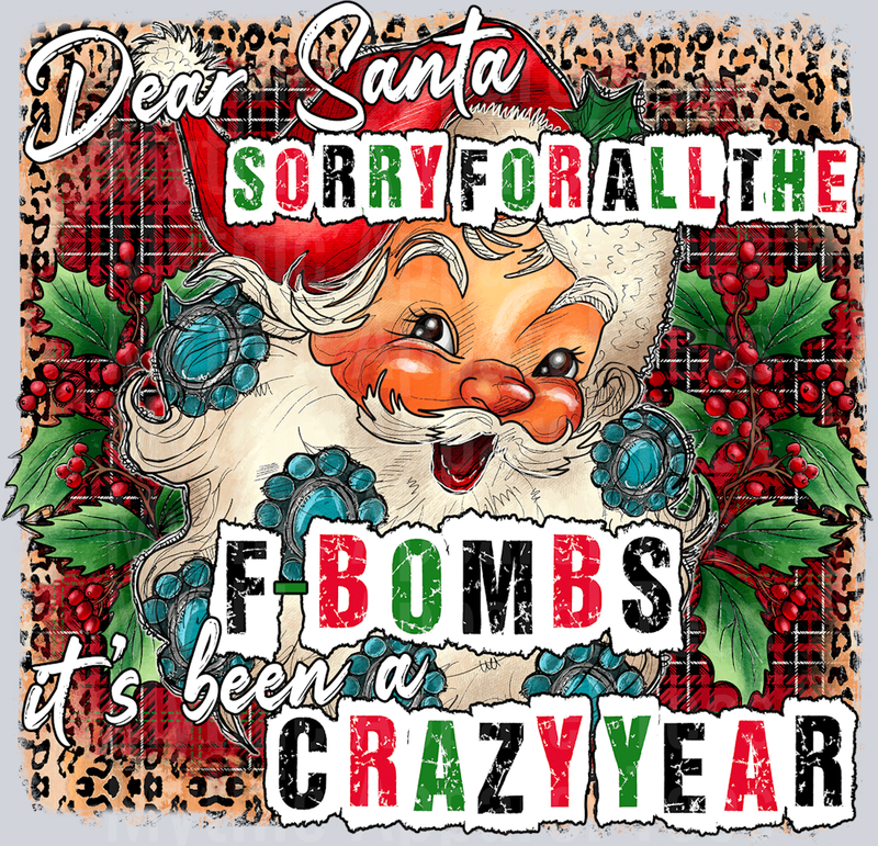 Dear Santa Sorry for all the F bombs Funny DTF Christmas Transfers