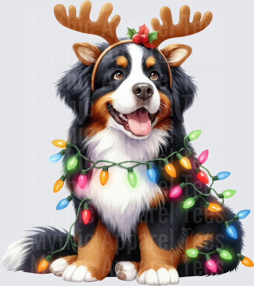 Bernese Mountain Dog Wearing Reindeer Antlers Wrapped in Colorful Christmas Lights