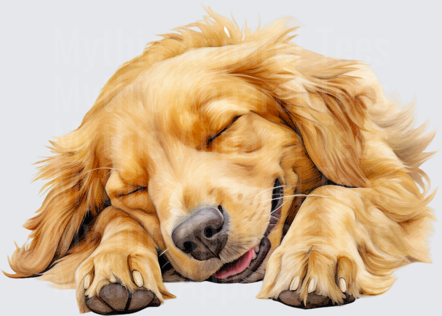 Sleeping Golden Retriever Dog Curled Up Resting with Fluffy Fur and Paws Forward Realistic Watercolor Illustration
