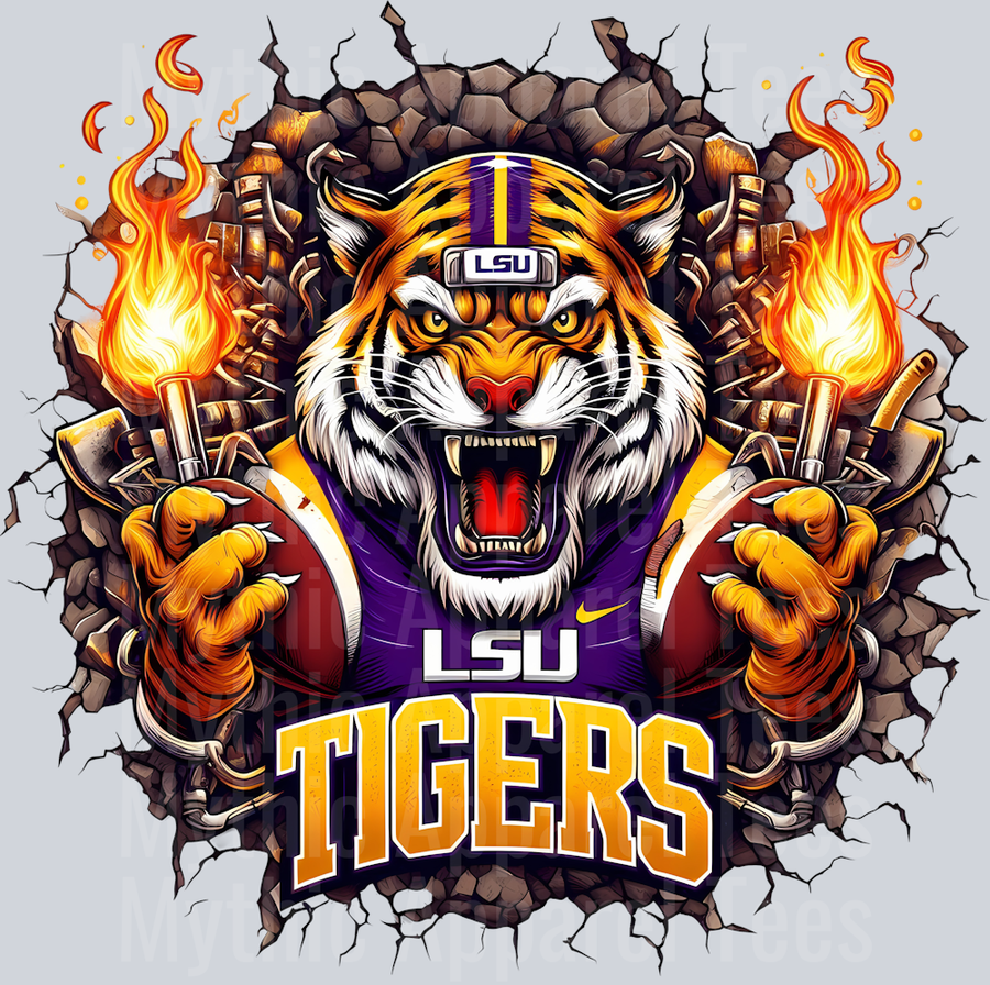 College Football Team Transfers