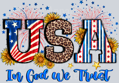 USA In God We Trust 4th of july DTF Patriotic Transfers