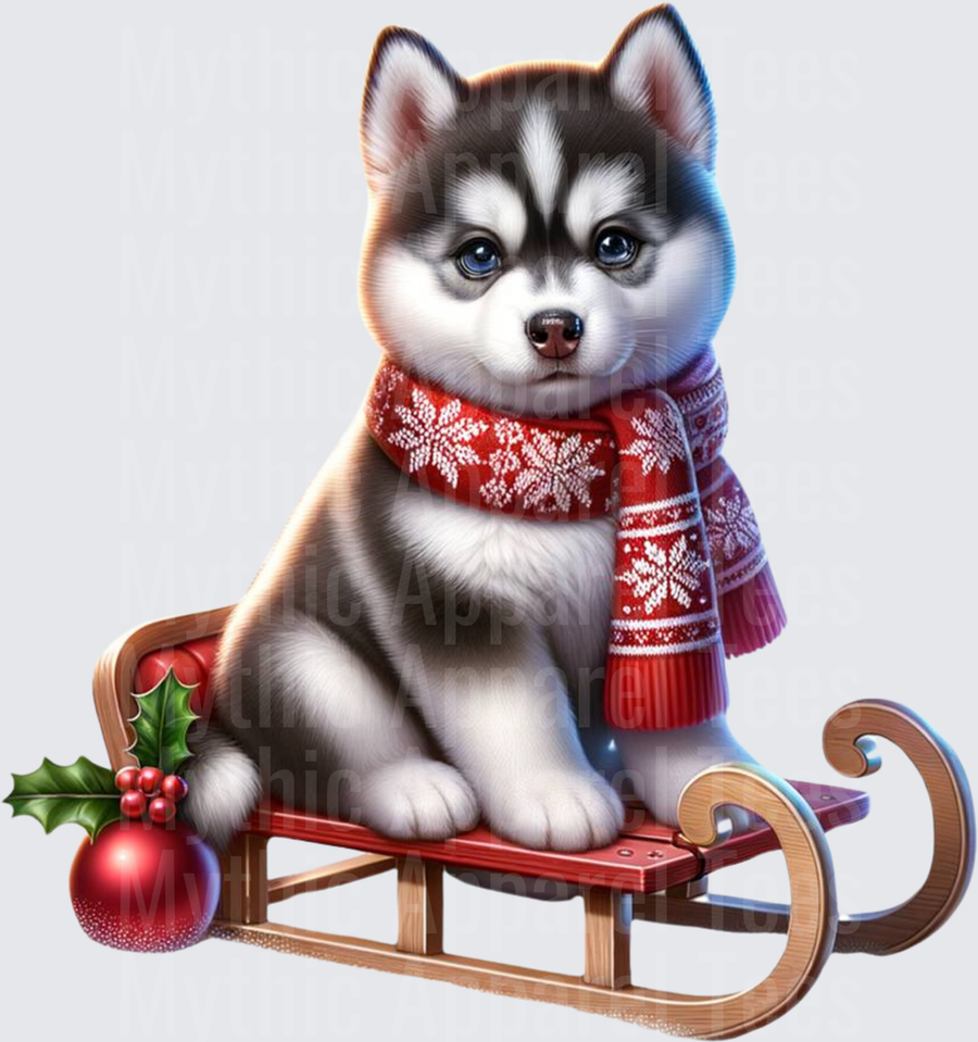 Cute Husky Puppy Wearing Red Snowflake Scarf Sitting on Christmas Sled with Holly Berry Ornament