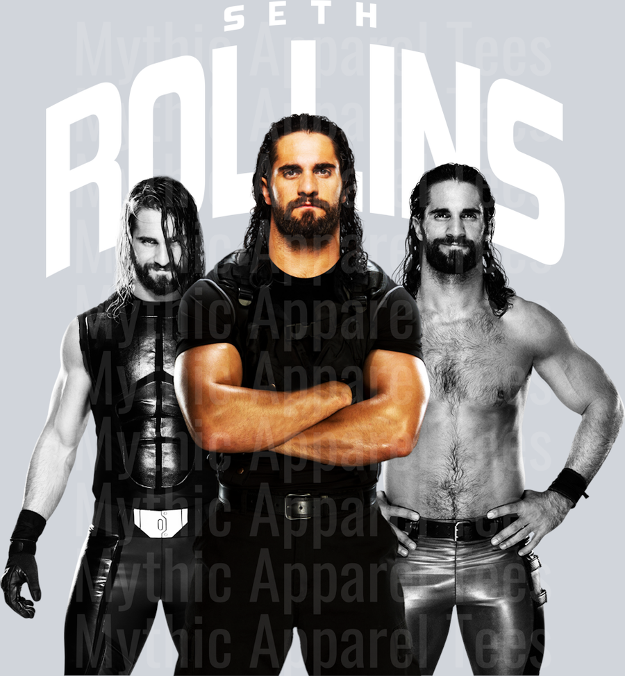 SETH ROLLINS 2 WWE Superstars DTF WWE Transfers