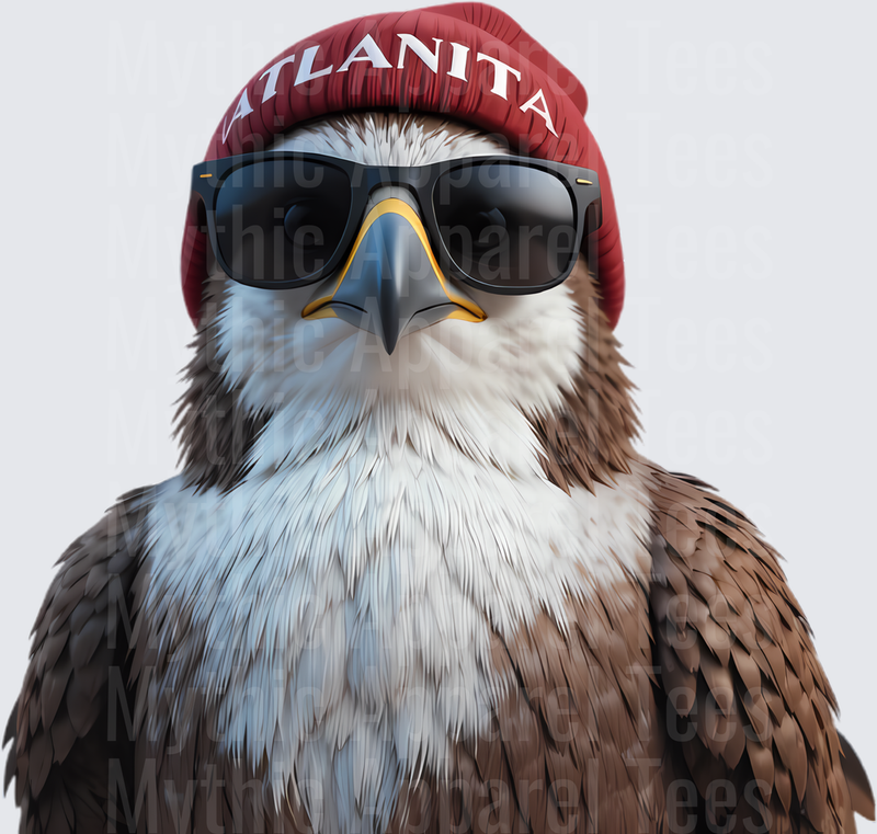NFL Mascots Atlanta Falcons Hawk Sunglasses Red Beanie