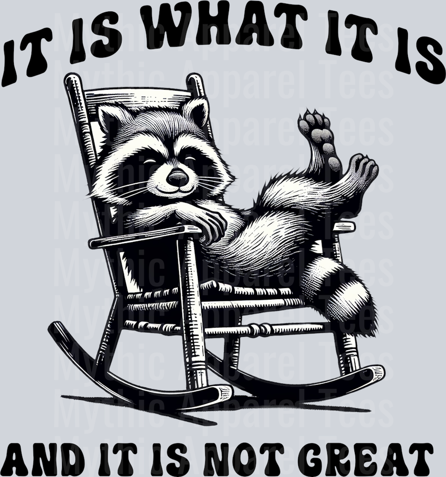 It is what it is and it is not great racoon on rocking chair DTF Racoon Transfers