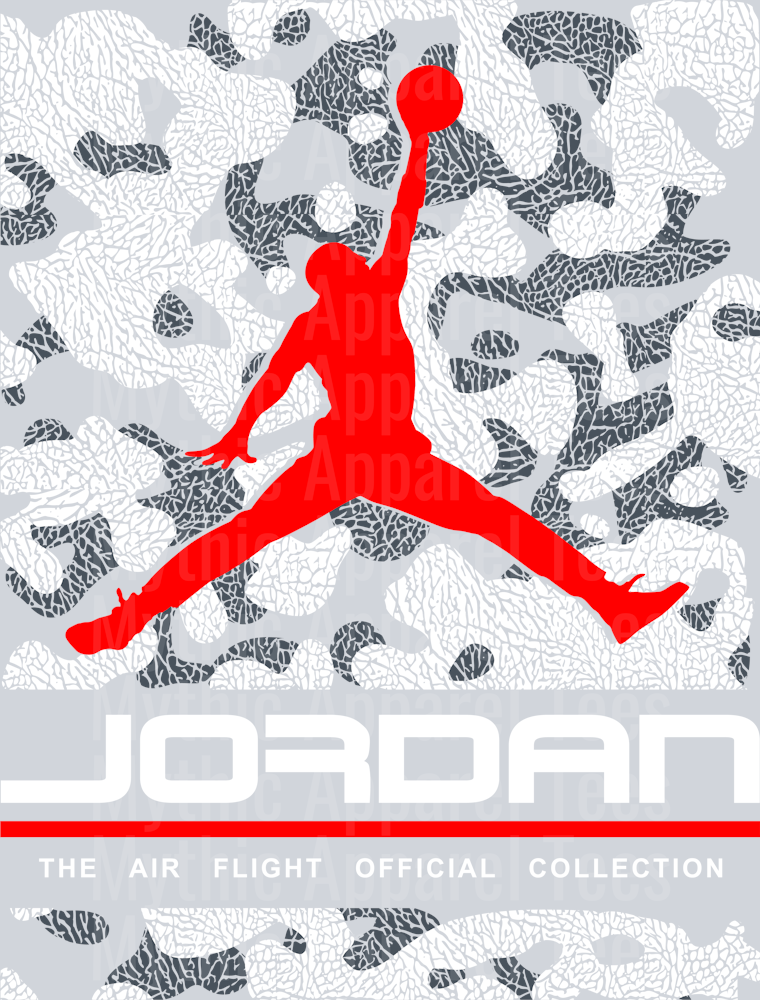 Grey and White Michael Jordan Chicago Bulls Jordans Nike DTF Michael Jordan Transfers
