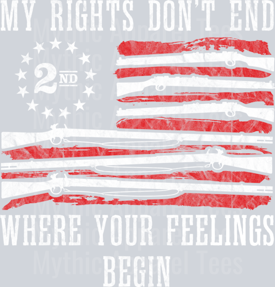2nd Amendment Feelings America USA Patriotic Funny 2A Flag Pullover Hoodie PRO 2nd