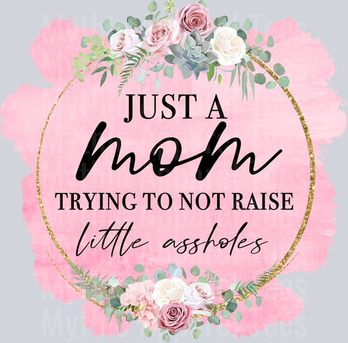 Just a mom trying to not raise little assholes DTF Sarcastic Transfers