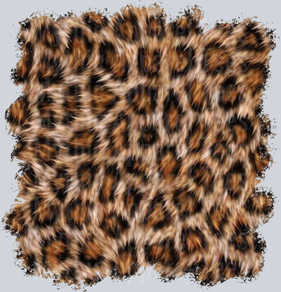 Country Western Music and Style