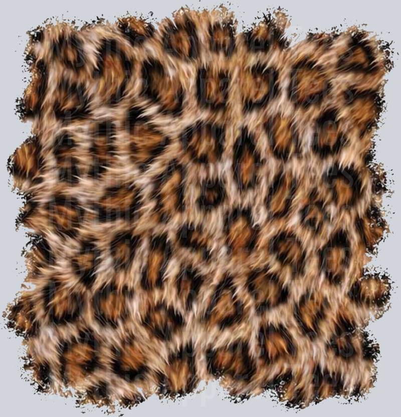 Country Western Music and Style