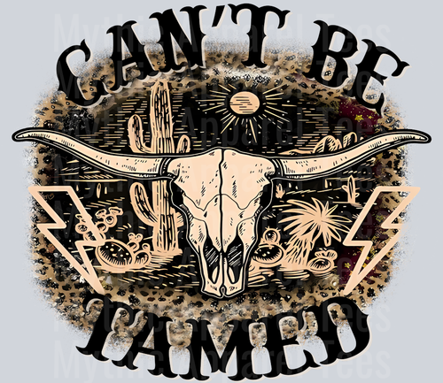 Can't Be Tamed Bull Horns Western
