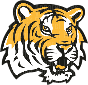 Bold Gold and Black Tiger Mascot Head Growling Face Portrait
