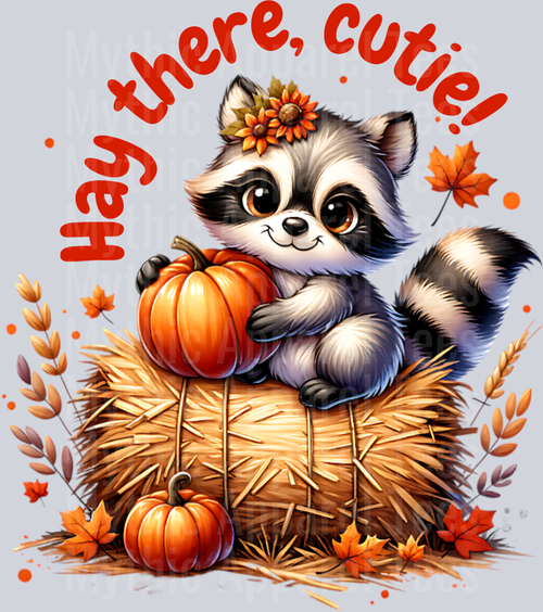 HAY THERE CUTIE RACCOON