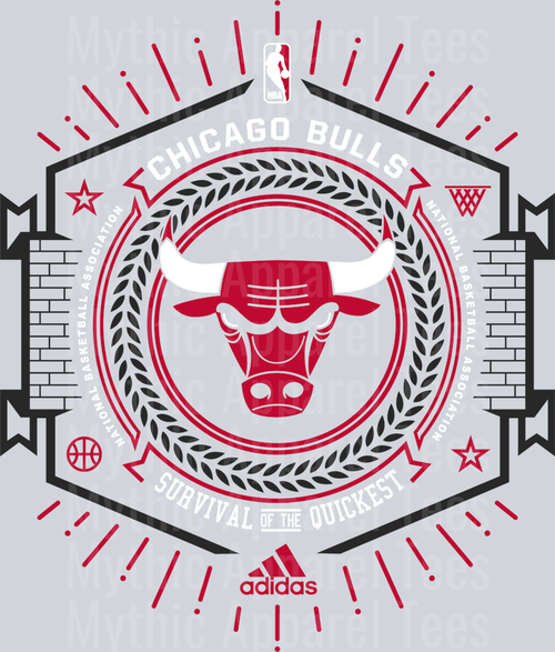 Chicago Bulls Rink Michael Jordan Chicago Bulls Jordans Nike DTF Michael Jordan Transfers