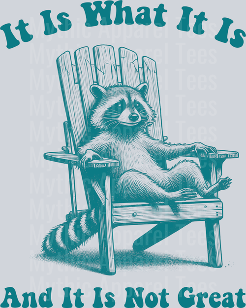 It is what it is and it is not great racoon in rocking chair DTF Racoon Transfers