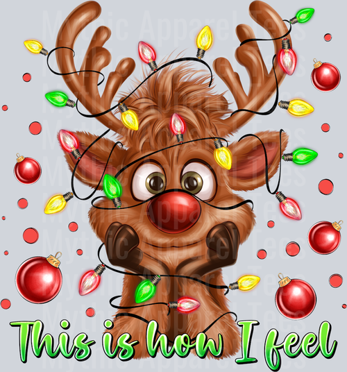 This is what I get Rudolph Christmas