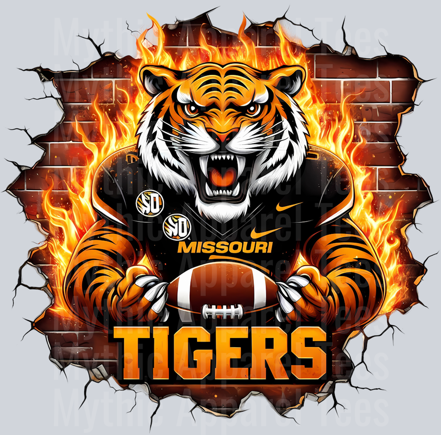 College Football Team Transfers