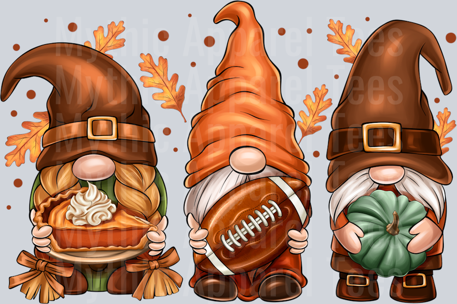 Fall Football Gnomes