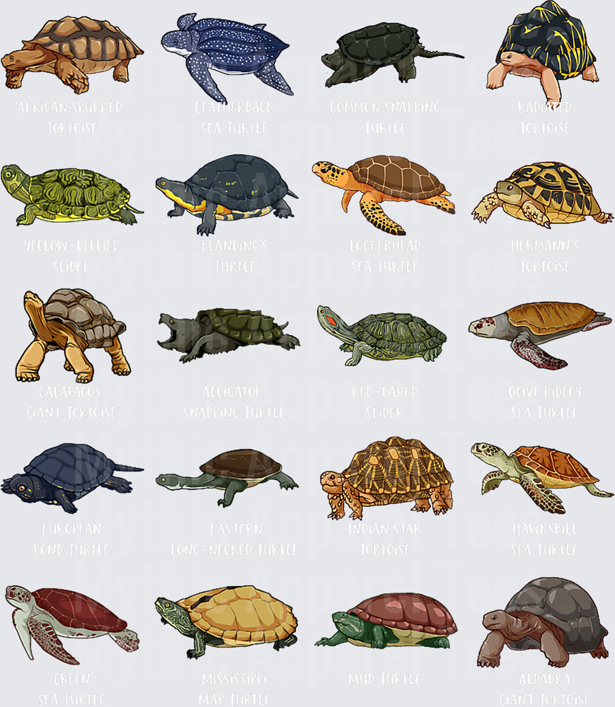 Many Different Turtles T-Shirt
