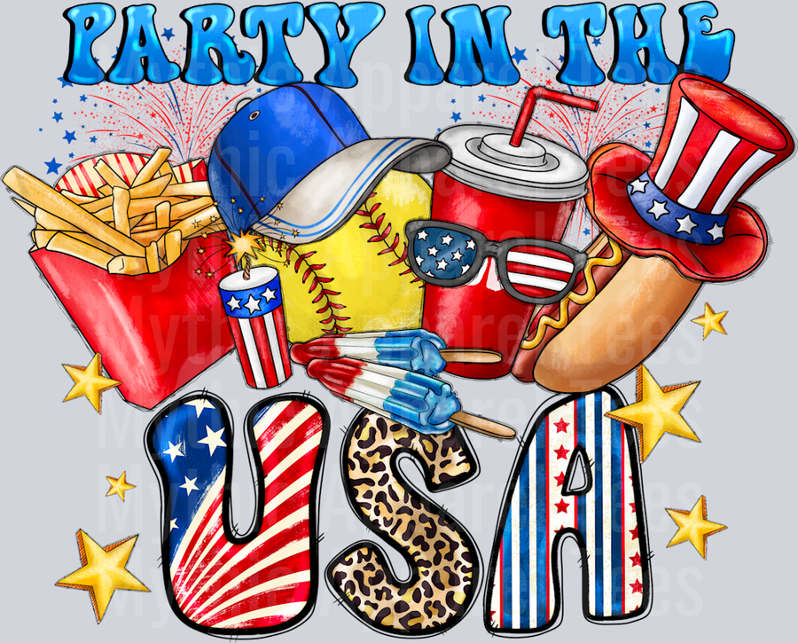 Party IN the USA Softball Patriotic