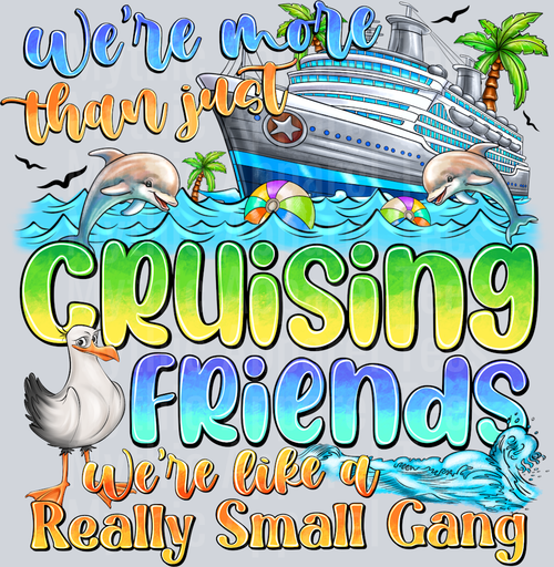 WereMoreThanJustCruisingFriendsWereLikeAReallySmallCang