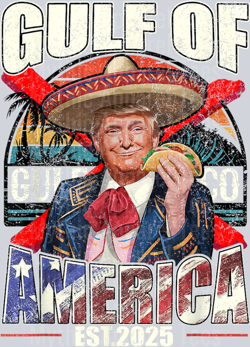 Funny Trump Gulf Of Us America 2025 Trump Merchandise DTF Gulf Of America Transfers
