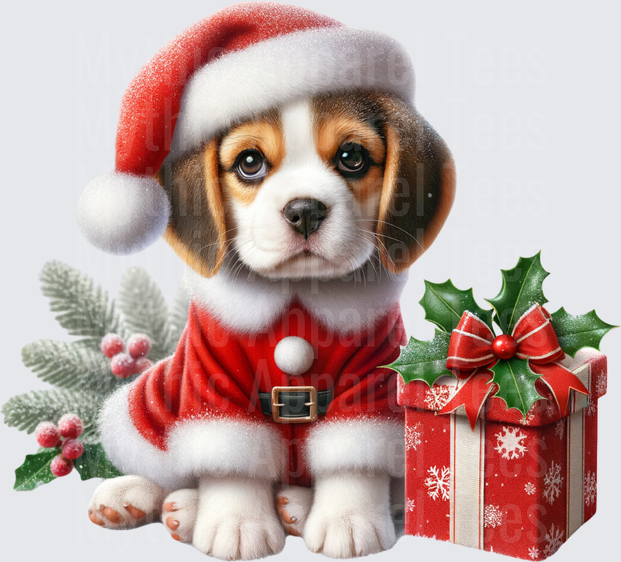 Adorable Beagle Puppy in Santa Suit with Christmas Gift Box and Holly Berry Winter Decor