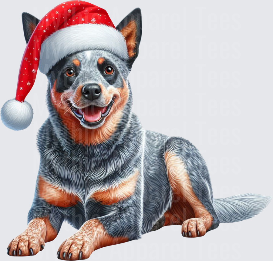 Australian Cattle Dog Blue Heeler Wearing Santa Hat Christmas Holiday