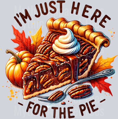 im just here for the pie pecan pie slice