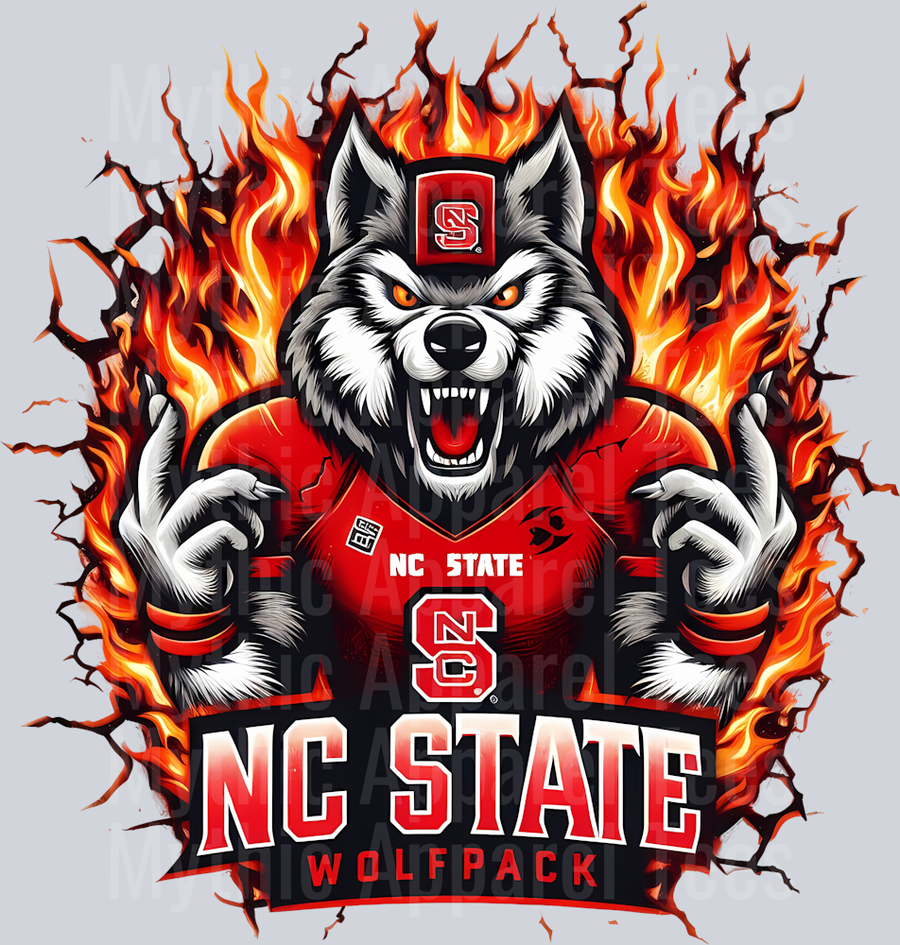College Football Team Transfers