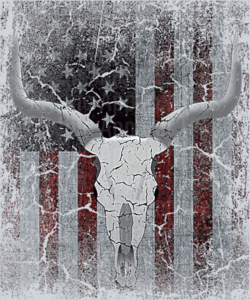 Western Style American Flag with bull horns DTF Western Transfers