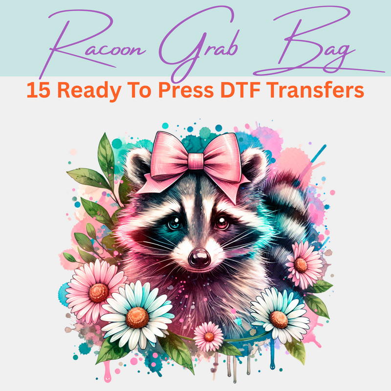 Raccoon Grab Bag - 15 Ready to Press DTF Transfers